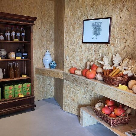 Apartment Vitus Cermes Ngoại thất bức ảnh